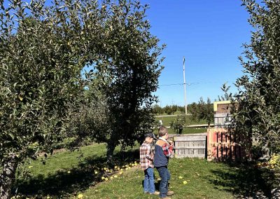 picking apples